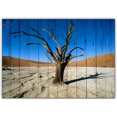 Картины Африка - Дерево в пустыне, Африка, Creative Wood